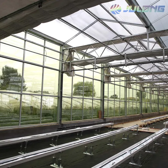 Customized Glass Multi Span Greenhouse for Commercial