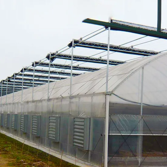 Extra Large Drop Irrigation System LED Grow Lamps Hot Climate Second Hand Commercial Greenhouses Sale for Hydroponics